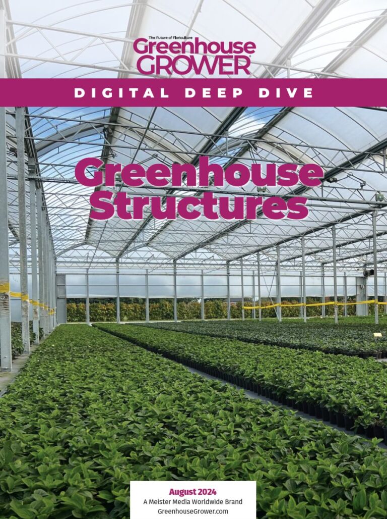 2024 August Digital Deep Dive cover on Greenhouse Structures