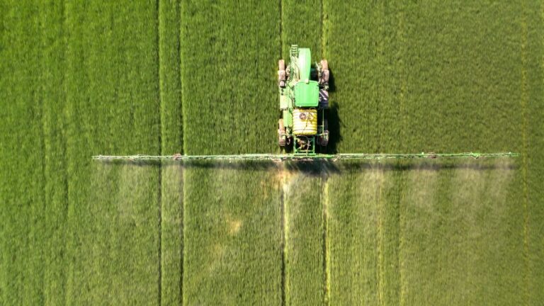 Tractor spraying chemical pesticides with sprayer on the large green agricultural field at spring. AdobeStock