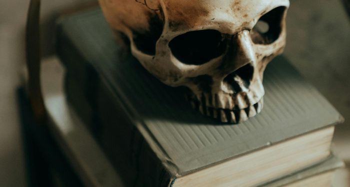 skull on a stack of books.jpg.optimal