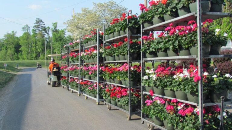 Darrell Norris a Son Greenhouses supermarket system offers a streamlined approach that accelerates o